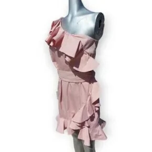 Bardot NWT Pink Chelsey Frill Ruffle Dress Large - Picture 2 of 14